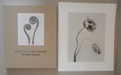 Robert Voit - The Alphabet of New Plants + Print 13/25 signed. - [New]. VOIT, Robert