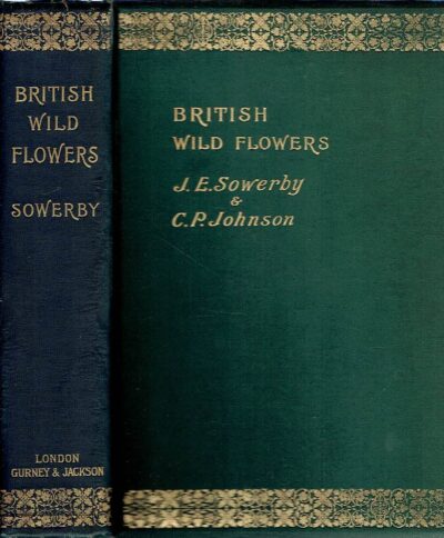 British Wild Flowers - Illustrated by John E. Sowerby. Described with an introduction and a key to the natural orders, by C. Pierpoint Johnson. Re-issue: To which is added A Supplement containing 180 figures of lately discovered flowering plants. By John W. Salter, [...] and the Ferns, Horsetails, and Club-mosses. By John E. Sowerby. SOWERBY, John E. & C. Pierpoint JOHNSON