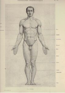 Anatomie Artistique - Description des Formes Extérieures du Corps Humain - Au repos et dans les principaux movements. RICHER, Paul