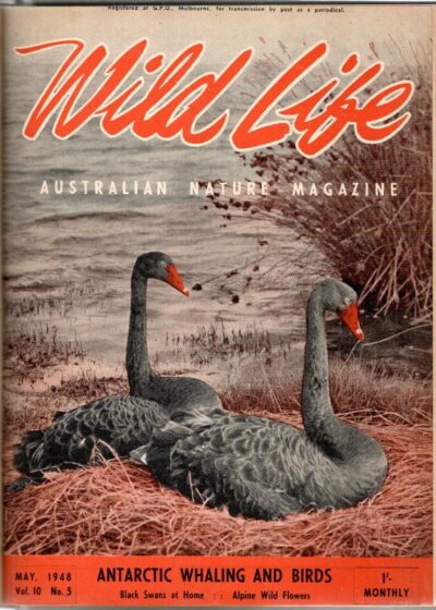 Wild Life - Australian Nature Magazine - From June 1942 - June 1948 - 7 years in 7 volumes. MORRISON, P. Crosbie [Editor]