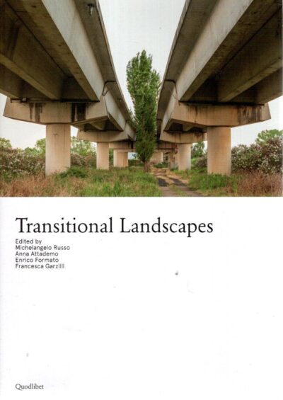 Transitional Landscapes. RUSSO, Michelangelo, Anna ATTADEMO, Enrico FORMATO & Franceska GARZILLI
